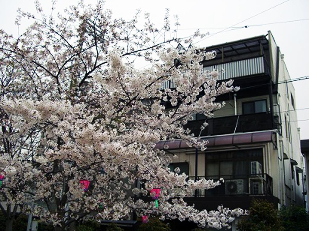 W.K Inn Osaka Zewnętrze zdjęcie